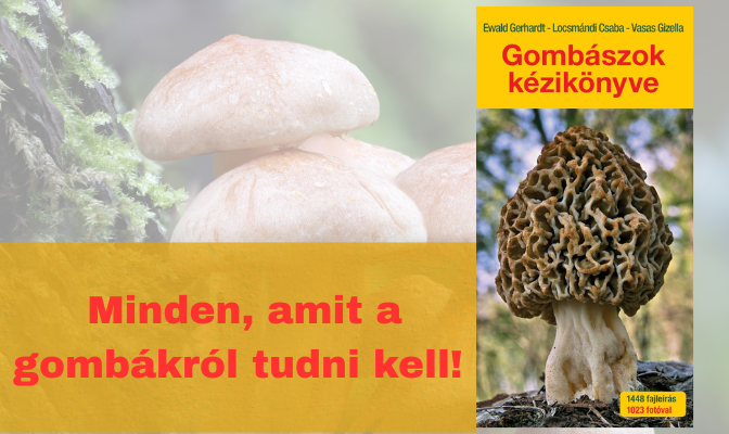 KönyvEb