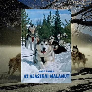 Az alaszkai malamut