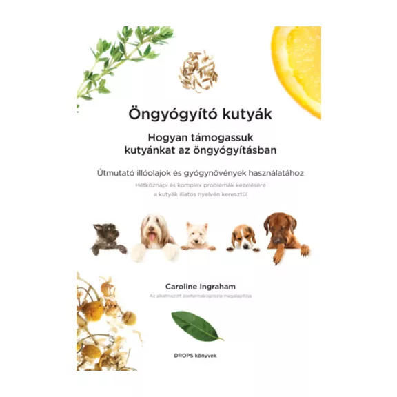 A képen az Öngyógyító kutyák című könyv látható a háttérben egy kutyával.