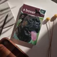 A képen A boxer című könyv látható egy boxerral a háttérben.