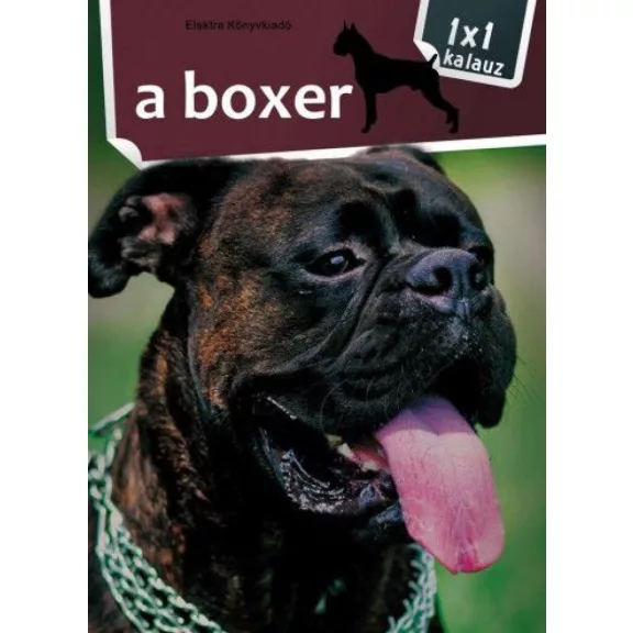 A képen A boxer című könyv látható egy boxerral a háttérben.