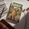 A képen A kölyökkutya 3D című könyv látható egy labradorral a háttérben.