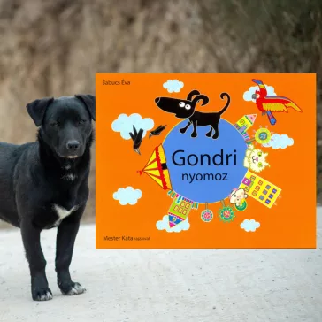 Gondri nyomoz - Gondri 4.