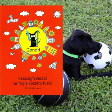 Gondri készségfejlesztő és foglalkoztató füzet