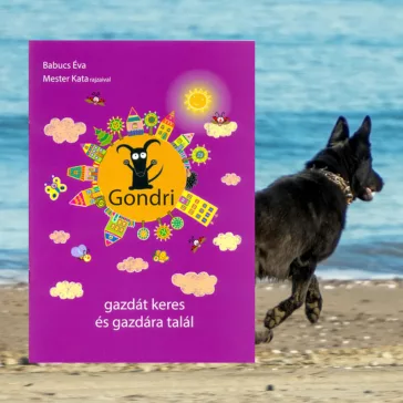 Gondri gazdát keres és gazdára talál
