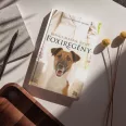 A képen a Foxiregény című könyv látható őszi háttér előtt.