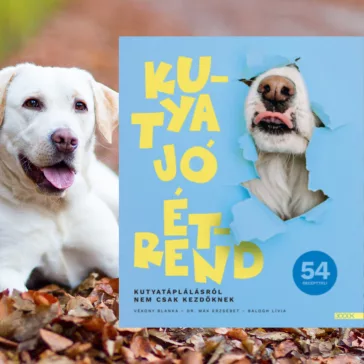 A képen a Kutya jó étrend című könyv látható a háttérben egy labrador.