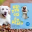 A képen a Kutya jó étrend című könyv látható a háttérben egy labrador.