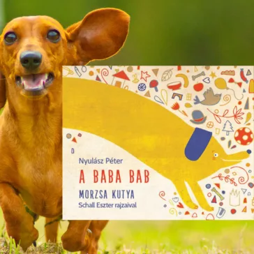A képen A baba bab Morzsa kutya című könyv látható a háttérben egy tacskó.