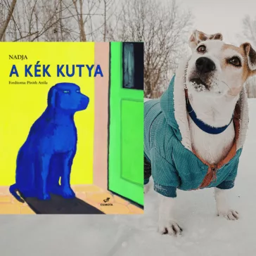 A képen A kék kutya című gyerekkönyv látható a háttérben egy kék kabátos kutyával.