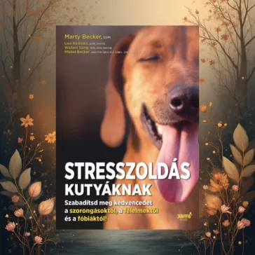 A képen a Stresszoldás kutyáknak című könyv látható erdei háttér előtt.