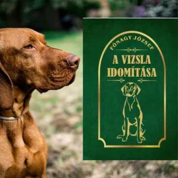 A vizsla idomítása
