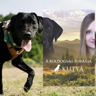A képen A boldogság forrása a kutya című könyv látható egy labradorral a háttérben.
