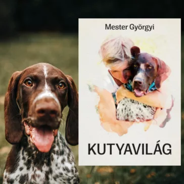 Kutyavilág