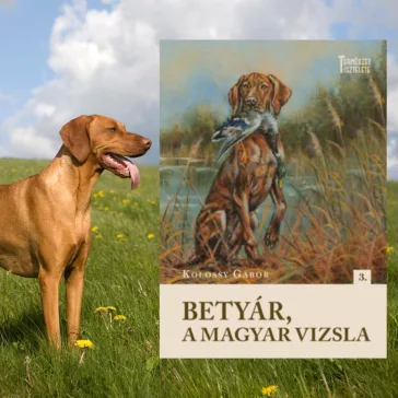 A képen a Betyár a magyar vizsla című könyv látható a háttérben egy magyar vizslával.