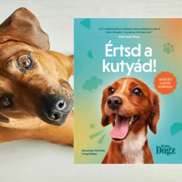 A képen az Értsd a kutyád című könyv látható a háttérben egy barna színű kutya.