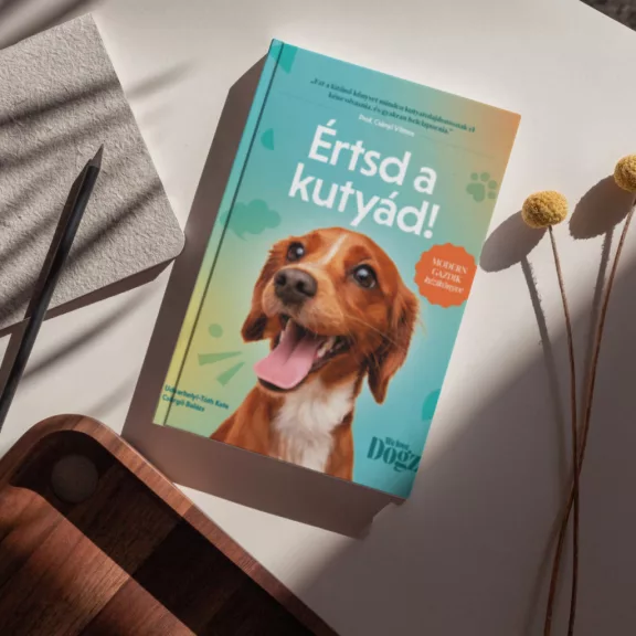 A képen az Értsd a kutyád című könyv látható a háttérben egy barna színű kutya.