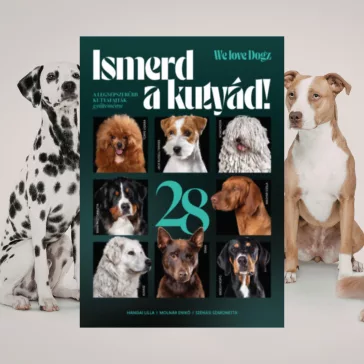 A képen az Ismerd a kutyád című könyv látható a háttérben két kutyával.
