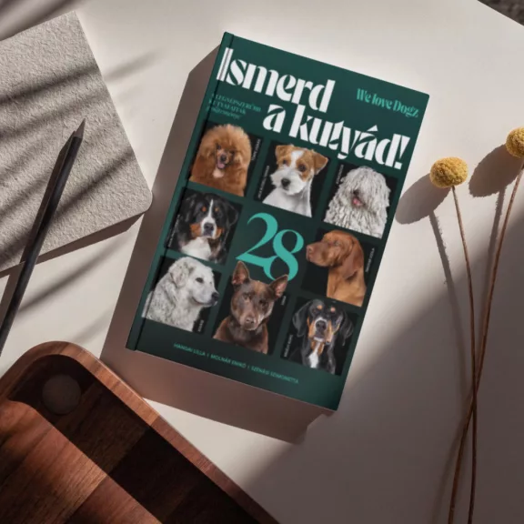 A képen az Ismerd a kutyád című könyv látható a háttérben két kutyával.