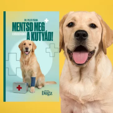 A képen a Mentsd meg a kutyád! - Elsősegélykönyv című könyv látható a háttérben egy kutyával.