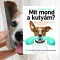 A képen a Mit mond a kutyám című könyv látható a háttérben egy telefonáló kutya.