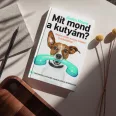 A képen a Mit mond a kutyám című könyv látható a háttérben egy telefonáló kutya.