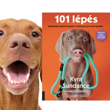 A képen a 101 lépés című könyv látható a háttérben egy vizsla.