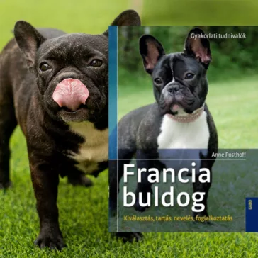 A képen a Francia buldog című könyv látható a háttérben egy francia buldog.