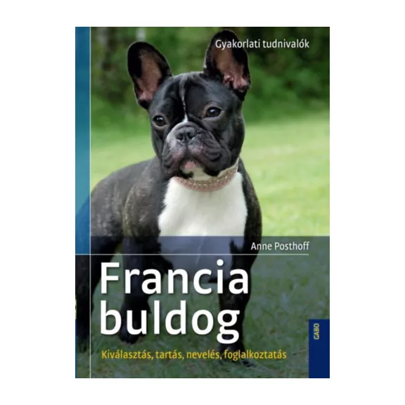 A képen a Francia buldog című könyv látható a háttérben egy francia buldog.