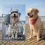 A képen a Dolgozó kutyák című könyv látható egy golden retriever kutyával a háttérben.