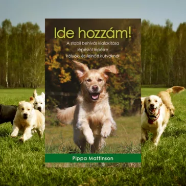 A képen az Ide hozzám című könyv látható a háttérben golden retrieverekkel.