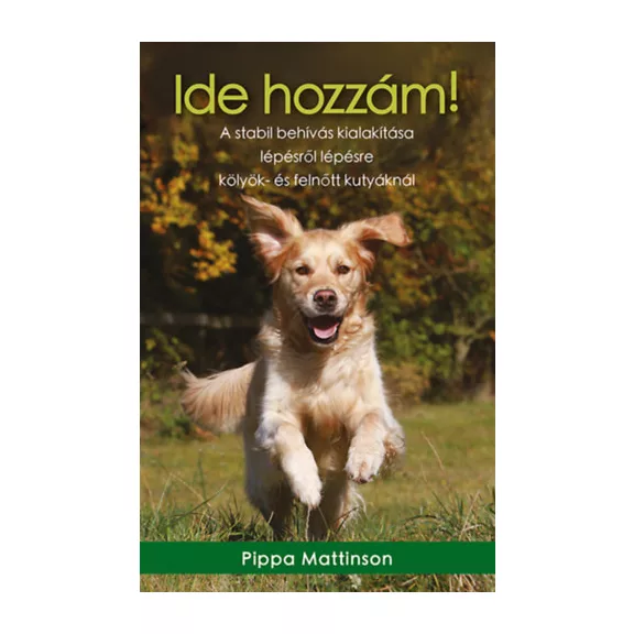 A képen az Ide hozzám című könyv látható a háttérben golden retrieverekkel.