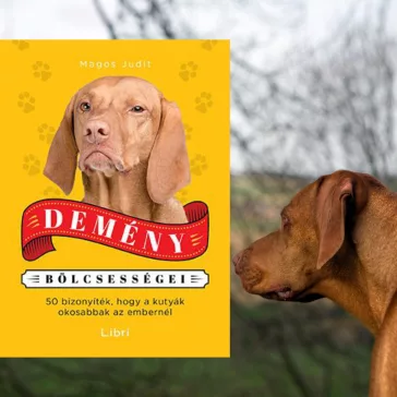 A képen a Demény bölcsességei című könyv látható a háttérben egy vizsla.