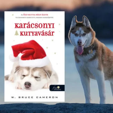 A képen a Karácsonyi kutyavásár című könyv látható a háttérben egy husky.