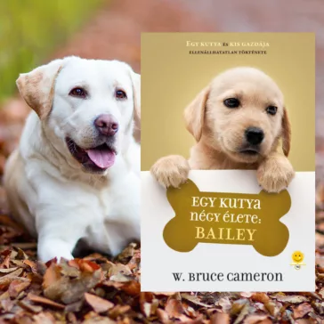 A képen az Egy kutya négy élete: Bailey című könyv látható a háttérben egy labrador.