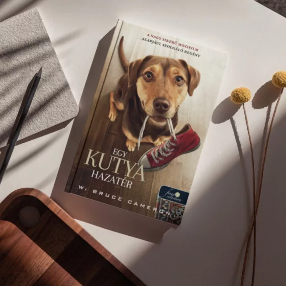 A képen az Egy kutya hazatér című könyv filmes borítója látható a háttérben parketta.
