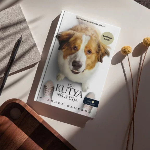A képen az Egy kutya négy útja című könyv látható a háttérben egy kutyával.
