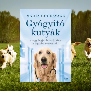 A képen a Gyógyító kutyák című könyv látható a háttérben szaladó kutyákkal.