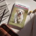 A képen a Kölyök a háznál című könyv látható a háttérben egy labrador.