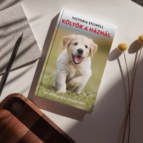 A képen a Kölyök a háznál című könyv látható a háttérben egy labrador.