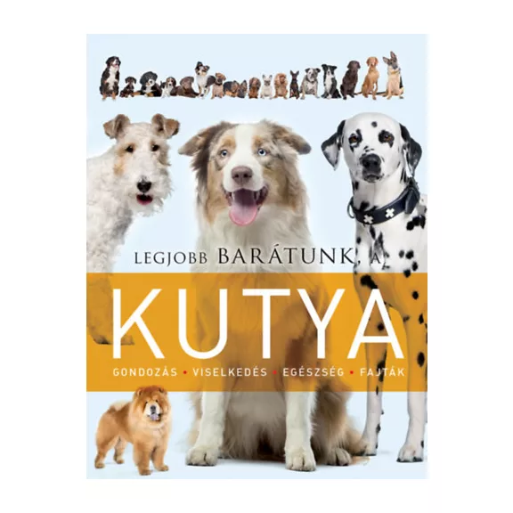Legjobb barátunk, a kutya