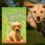 A képen a Varázslatos kiskutya című könyv látható egy labradorral a háttérben.