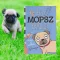 A képen az Egy mopsz naplója Kutya a rakétán című könyv látható a háttérben egy mopsz.