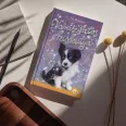 Varázslatos kiskutya - Vidéki kaland