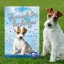 A képen a Varázslatos kiskutya című könyv látható a háttérben egy foxterrier.