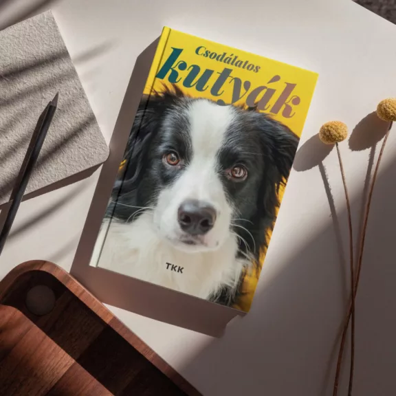 A képen a Csodálatos kutyák című könyv látható a háttérben a border collie-val.