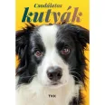 A képen a Csodálatos kutyák című könyv látható a háttérben a border collie-val.