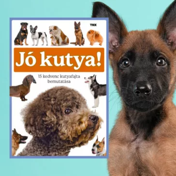 A képen a Jó kutya című könyv látható a háttérben egy malinois kölyök.