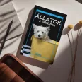 Állatok a lakásban