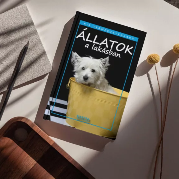 Állatok a lakásban